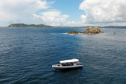 Julian Rocks Byron Bay Cruise - Accommodation Gold Coast 5
