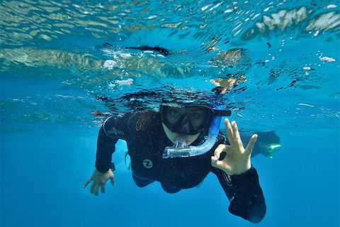 3 Day Whitsundays Sailing And Diving Adventure: Kiana - Accommodation Gold Coast 0