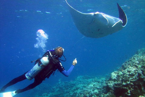 3 Day Whitsundays Sailing And Diving Adventure: Kiana - Accommodation Gold Coast 3