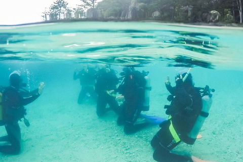 3 Day Whitsundays Sailing And Diving Adventure: Kiana - Accommodation Gold Coast 4