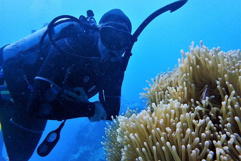 3 Day Whitsundays Sailing And Diving Adventure: Kiana - Accommodation Gold Coast 5