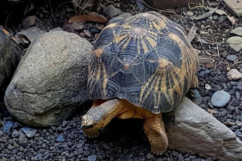 Hartley's Crocodile Adventures General Entry Ticket - Accommodation Gold Coast 2