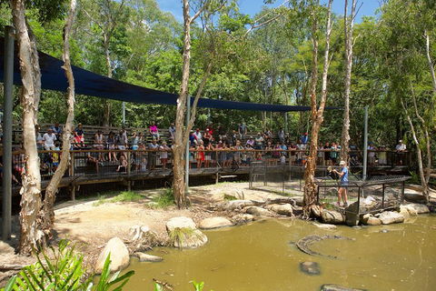 Hartley's Crocodile Adventures Breakfast With The Koalas - Accommodation Gold Coast 1
