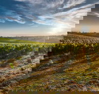 Perth to Margaret River Wine Tour - 2 Day Premium Boutique Wine Tour Experience - Accommodation Gold Coast