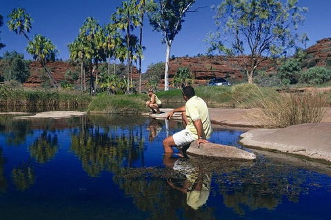 Palm Valley 4WD Day Tour - Accommodation Gold Coast 1