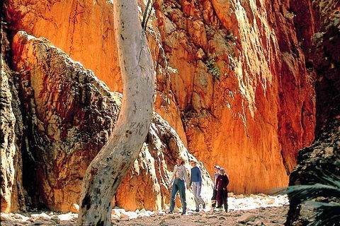 West MacDonnell Ranges Day Trip From Alice Springs - Accommodation Gold Coast 3
