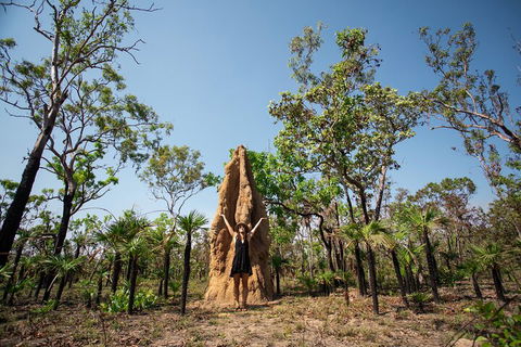 Litchfield National Park - Top End Day Tour From Darwin - 1 Gold Coast 5