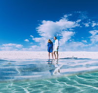 4-Day Coastal Loop via Monkey Mia Wild Dolphins Kalbarri Pinnacles Perth Return - Accommodation Gold Coast
