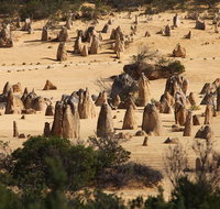 Pinnacles Sunset Dinner and Stargazing Experience a Small Group Tour - Accommodation Gold Coast