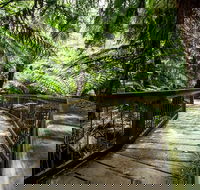 12 Apostles Eco-Friendly Great Ocean Road Iconic Adventure from Melbourne - Accommodation Gold Coast