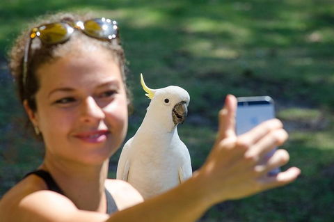 Small-Group Great Ocean Road Experience And Surf Coast Tour - Accommodation Gold Coast 3