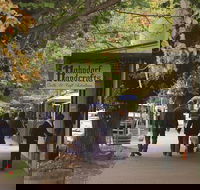 Adelaide Highlights Hahndorf  McLaren Vale Wine Tasting and Sightseeing Tour - Accommodation Gold Coast