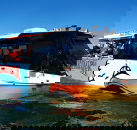 Express Jet Boat Ride  Aquaduck - Accommodation Gold Coast