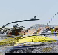 30-minute Jet Blast Express Ride - Accommodation Gold Coast