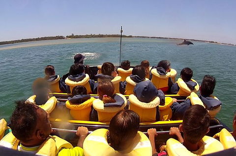 Jet Boat Express Ride - 30mins - Accommodation Gold Coast 5