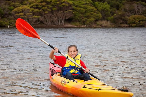 Kangaroo Island Self-Guided Kayaking On The Harriet River - Accommodation Gold Coast 1