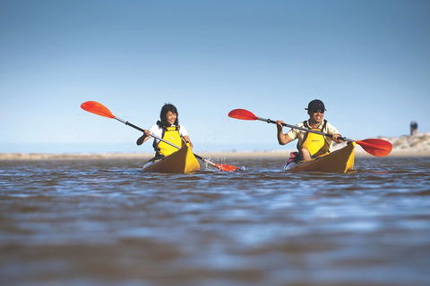 Kangaroo Island Self-Guided Kayaking On The Harriet River - Accommodation Gold Coast 2