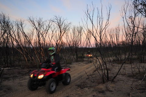 Kangaroo Island Quad Bike (ATV) Tours - Accommodation Gold Coast 1