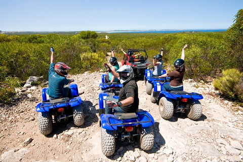 Kangaroo Island Quad Bike (ATV) Tours - Accommodation Gold Coast 3