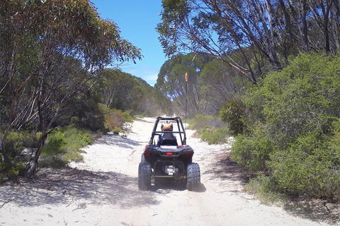 Kangaroo Island Quad Bike (ATV) Tours - Accommodation Gold Coast 4