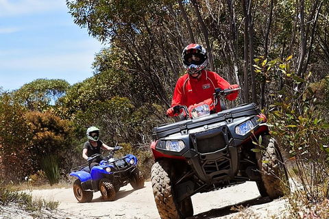 Kangaroo Island Quad Bike (ATV) Tours - Accommodation Gold Coast 5