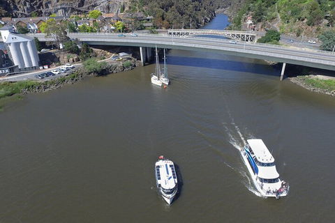 2.50 Hour Afternoon Discovery Cruise Including Cataract Gorge Departing At 3 Pm - Accommodation Gold Coast 3