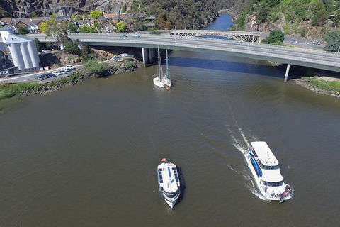 2.50 Hour Afternoon Discovery Cruise Including Cataract Gorge Departing At 3 Pm - Accommodation Gold Coast 5