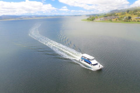 2.5 Hour Afternoon Discovery Cruise Including Cataract Gorge Departs At 1: 30 Pm - Accommodation Gold Coast 0