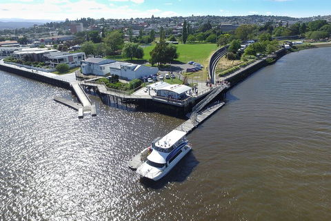 2.5 Hour Afternoon Discovery Cruise Including Cataract Gorge Departs At 1: 30 Pm - Accommodation Gold Coast 3