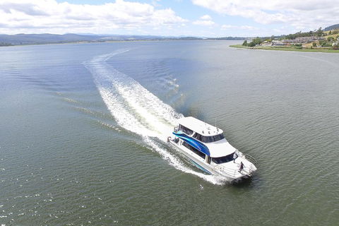 2.5 Hour Afternoon Discovery Cruise Including Cataract Gorge Departs At 1: 30 Pm - Accommodation Gold Coast 4