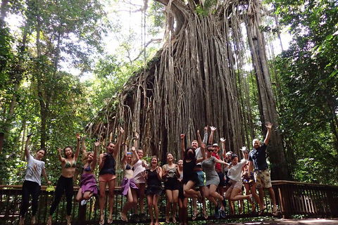 Atherton Tablelands Waterfalls Tour From Cairns - Accommodation Gold Coast 5