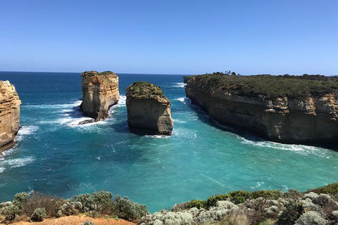Great Ocean Road Reverse Itinerary PREMIUM Tour - Accommodation Gold Coast 0