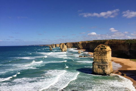 Great Ocean Road Reverse Itinerary PREMIUM Tour - Accommodation Gold Coast 2