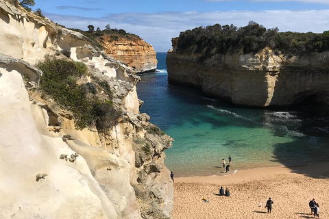 Great Ocean Road Reverse Itinerary PREMIUM Tour - Accommodation Gold Coast 3