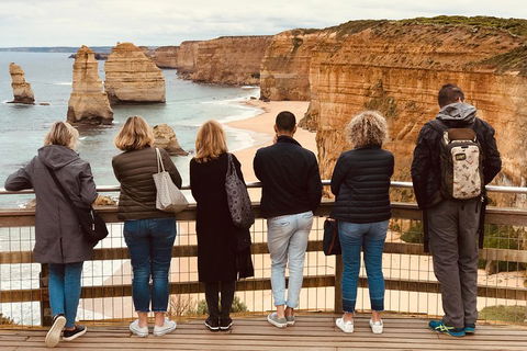 Great Ocean Road Reverse Itinerary PREMIUM Tour - Accommodation Gold Coast 5