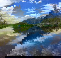 Noosa Everglades Serenity Cruise  Highlights Tour Inc. Lunch  Cruise - Accommodation Gold Coast