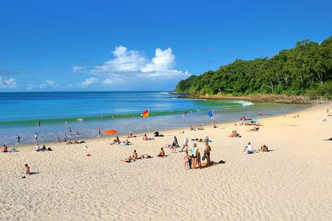 Noosa Everglades Serenity Cruise & Highlights Tour Inc. Lunch & Cruise - Accommodation Gold Coast 4