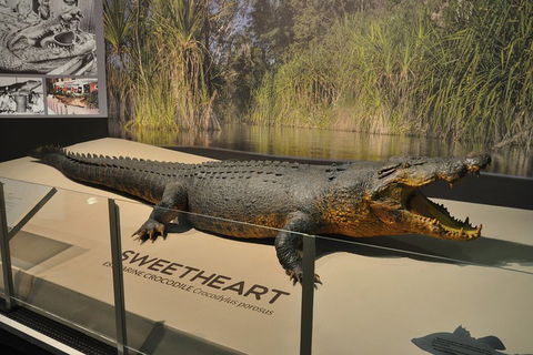 Explore Darwin City Sights Including Key Attractions - Accommodation Gold Coast 2
