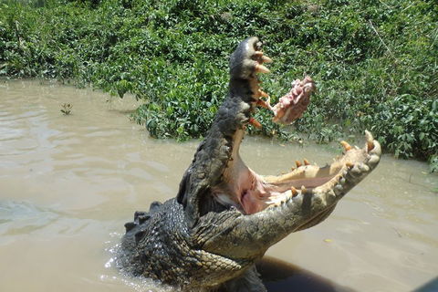 Litchfield And Jumping Crocodiles Full Day Trip From Darwin - 1 Gold Coast 3