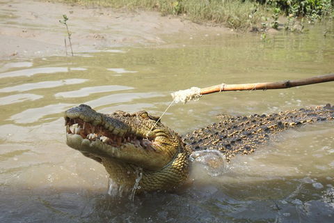 Litchfield And Jumping Crocodiles Full Day Trip From Darwin - 1 Gold Coast 4