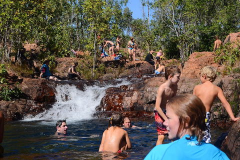 Litchfield And Jumping Crocodiles Full Day Trip From Darwin - 1 Gold Coast 5