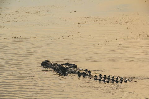 Yellow Water Cruise - Kakadu - Accommodation Gold Coast 2