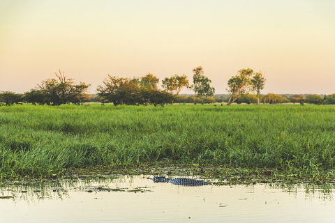 Yellow Water Cruise - Kakadu - Accommodation Gold Coast 3