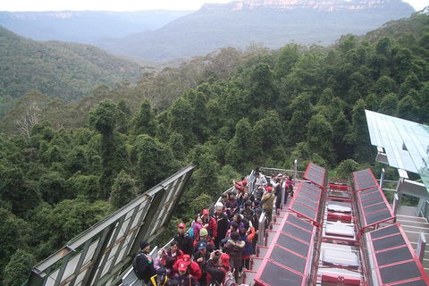 Blue Mountains Private Tour With Wildlife Park And River Cruise - Accommodation Gold Coast 1