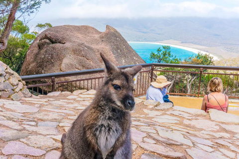 Wineglass Bay & Freycinet NP Full Day Tour From Hobart Via Richmond Village - Accommodation Gold Coast 0