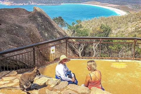 Wineglass Bay & Freycinet NP Full Day Tour From Hobart Via Richmond Village - Accommodation Gold Coast 1