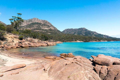 Wineglass Bay & Freycinet NP Full Day Tour From Hobart Via Richmond Village - Accommodation Gold Coast 5
