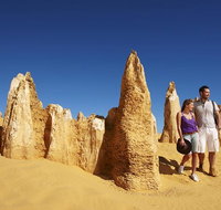 Pinnacles Day Trip from Perth Including Yanchep National Park - Accommodation Gold Coast
