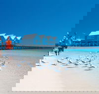 Margaret River and Geographe Bay Region Day Trip from Perth - Accommodation Gold Coast