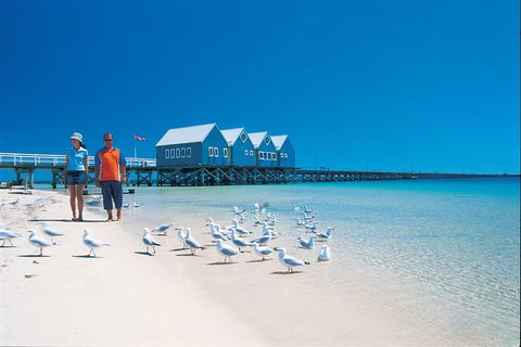 Margaret River And Geographe Bay Region Day Trip From Perth - Accommodation Gold Coast 0